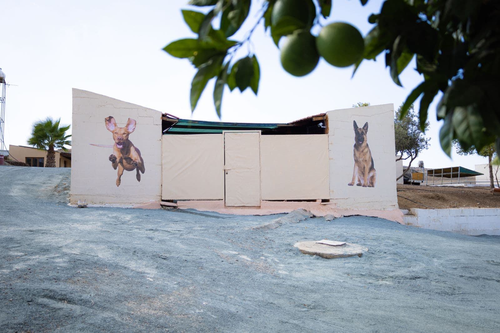 Dog hotel at Vico Kennel Cyprus