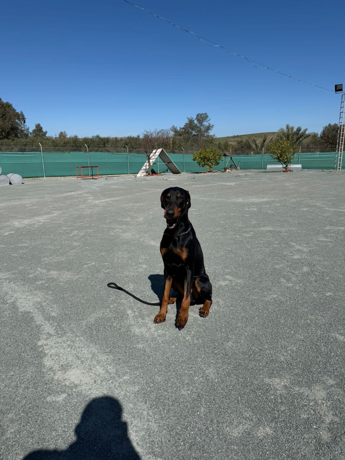 Outdoor run at Vico Kennel