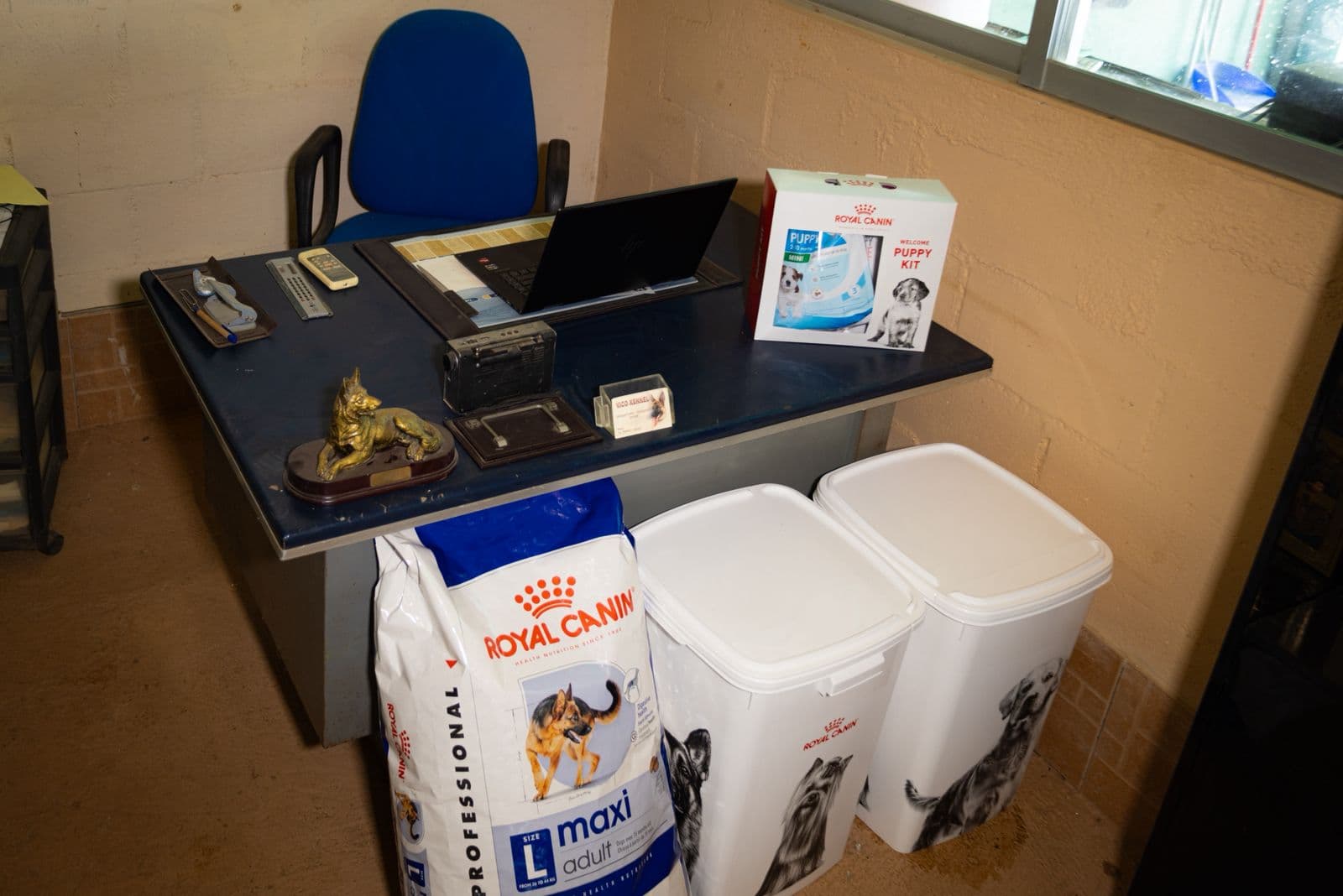 Dog feeding and care at Vico Kennel
